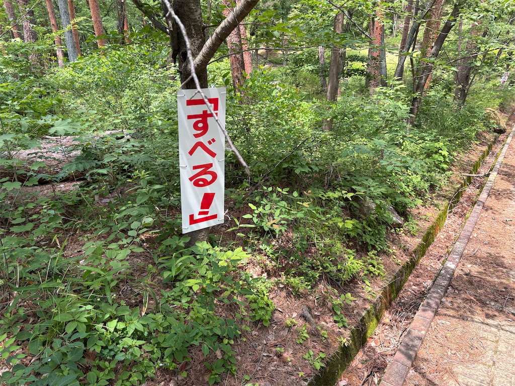 f:id:chobi_chobi:20260608141907j:image