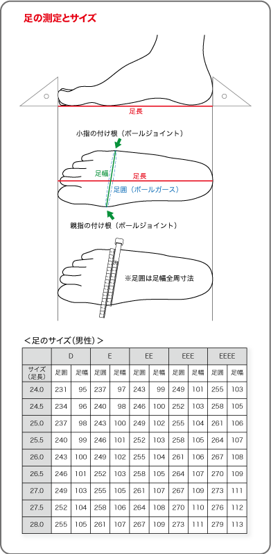 f:id:chobikoume:20180220134937p:plain