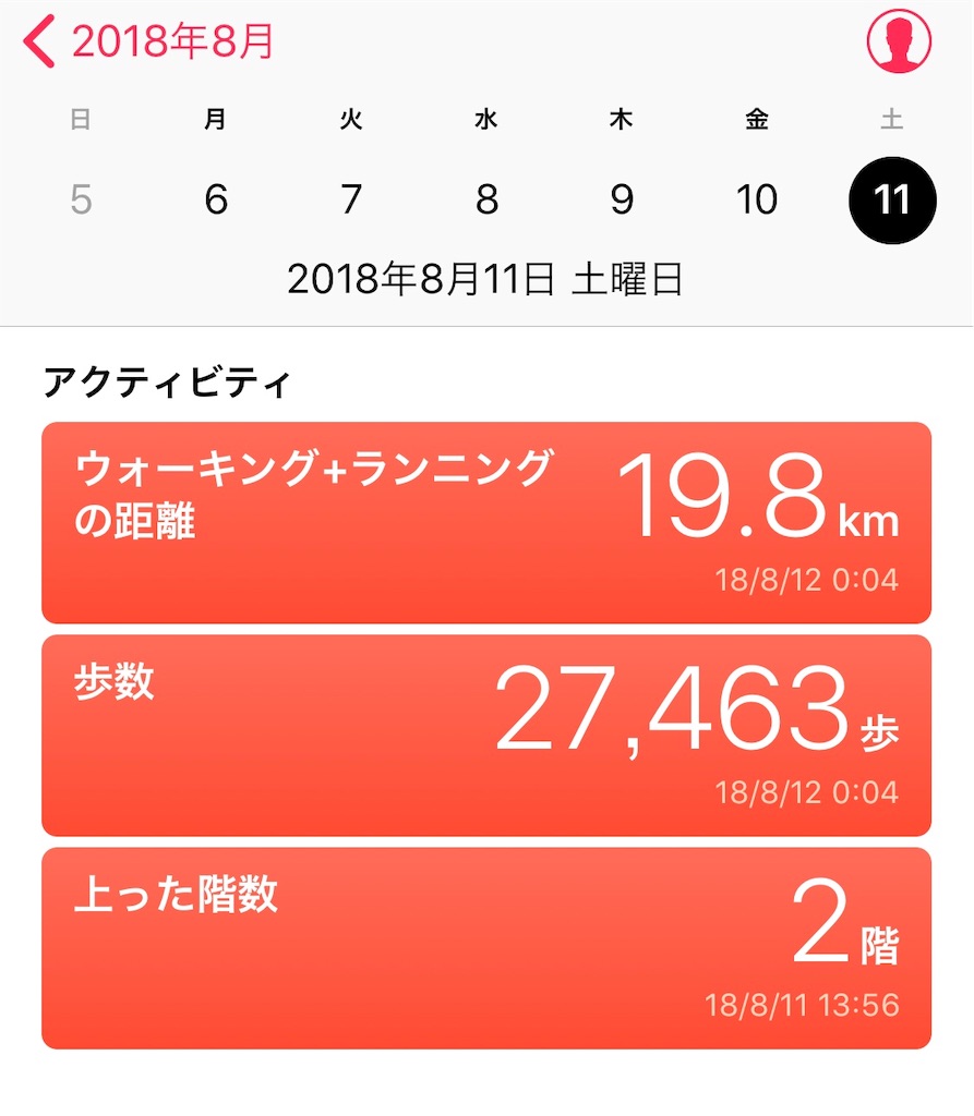 f:id:chobineco:20190127104420j:image f:id:chobineco:20190127104420j:image