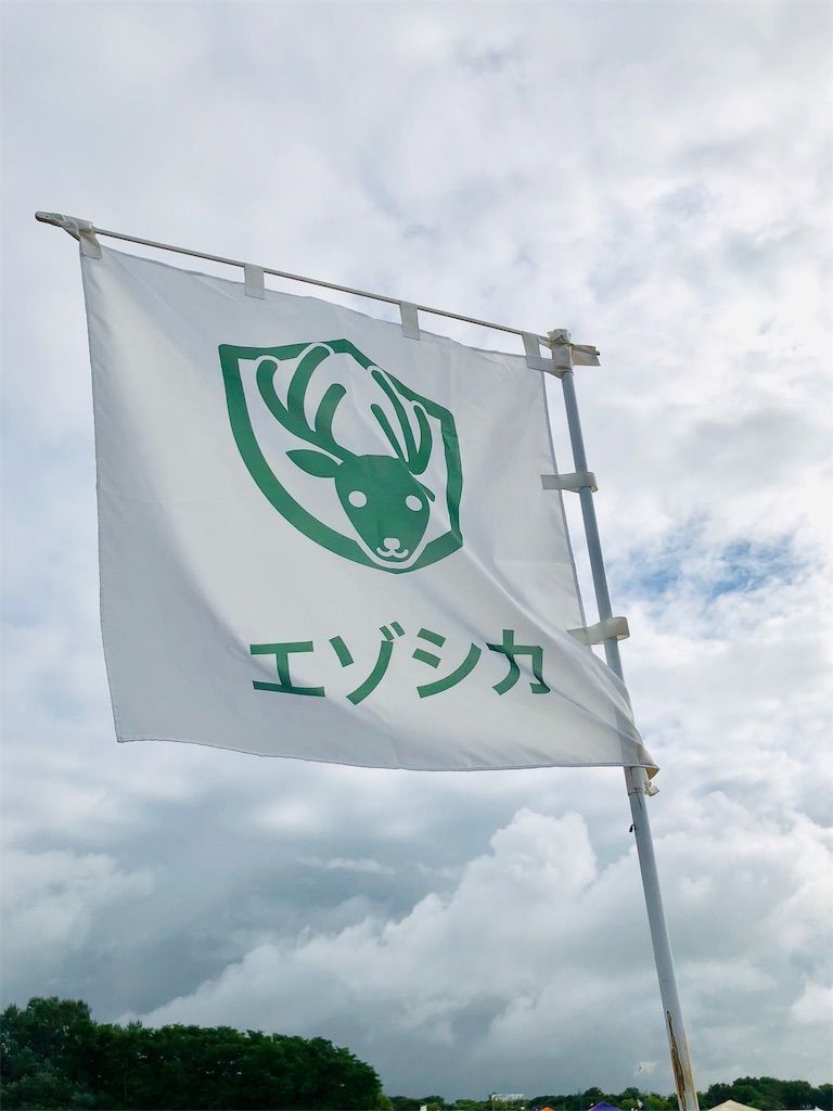 f:id:chobineco:20190206175220j:image