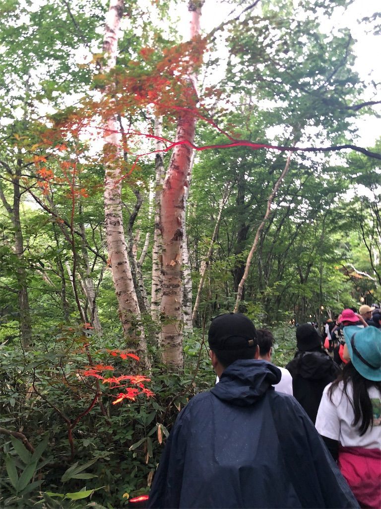 f:id:chobineco:20190802094416j:image f:id:chobineco:20190802094416j:image