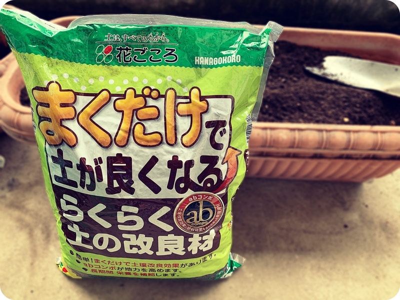 f:id:chobinosuke:20210917100059j:plain
