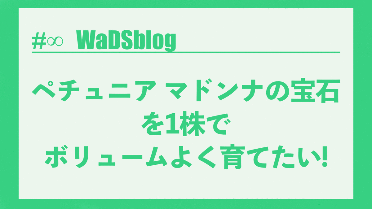 f:id:chobinosuke:20220411124743g:plain