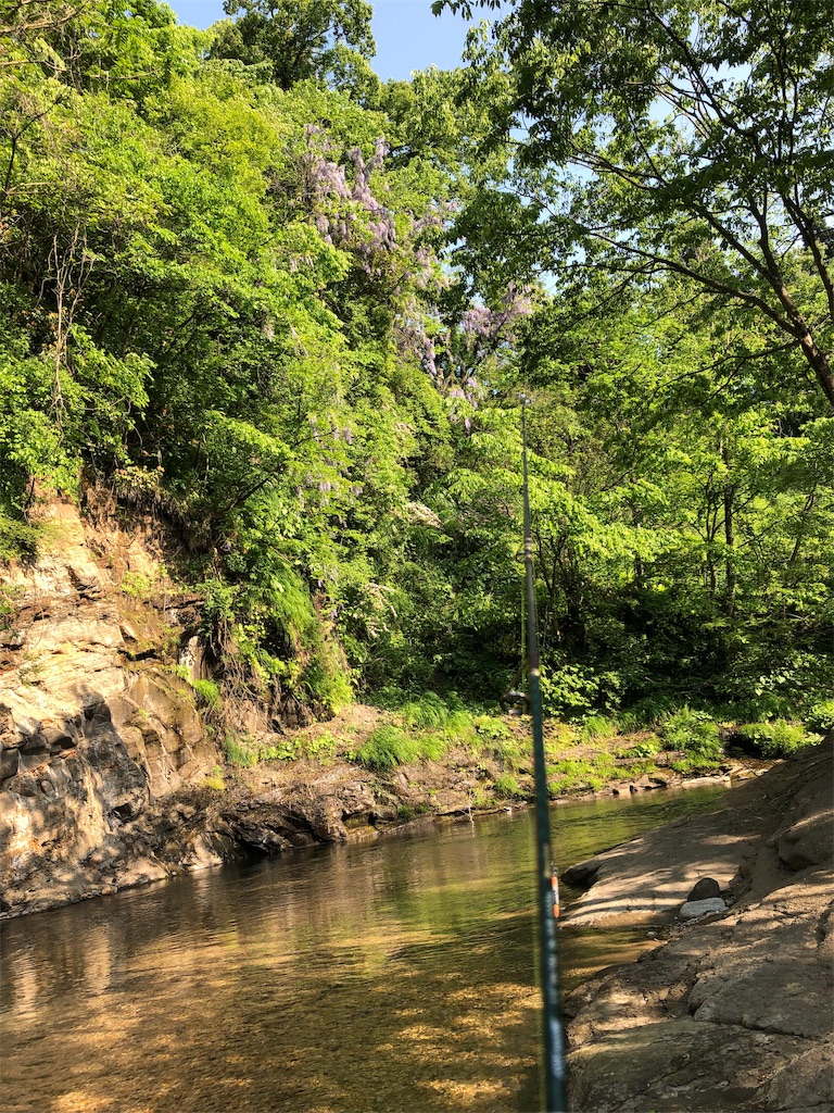 f:id:chobitaku:20190518192307j:image