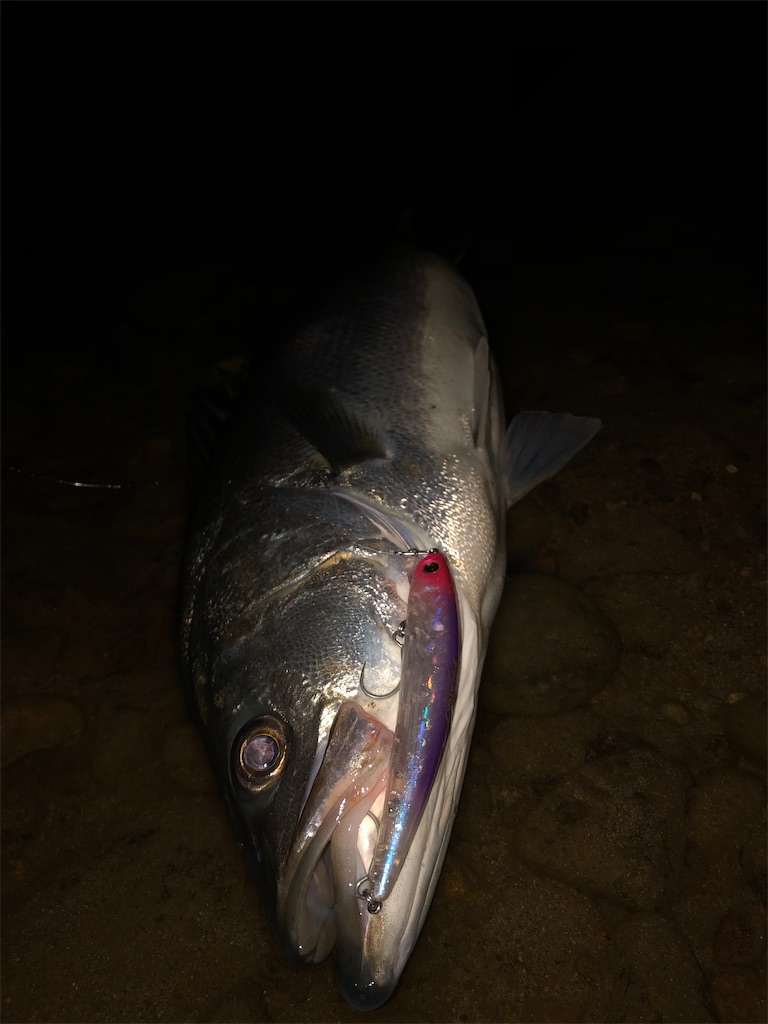 f:id:chobitaku:20191220235740j:image