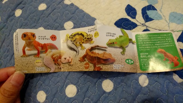 f:id:chobivic:20170611191956j:image f:id:chobivic:20170611191956j:image