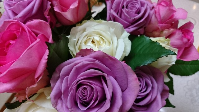 f:id:chobivic:20180202013504j:plain f:id:chobivic:20180202013504j:plain