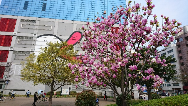 f:id:chobivic:20180327174315j:image f:id:chobivic:20180327174315j:image