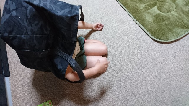 f:id:chobivic:20180528021330j:plain f:id:chobivic:20180528021330j:plain