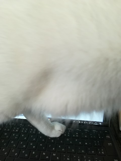 f:id:chobivic:20180817081845j:image f:id:chobivic:20180817081845j:image