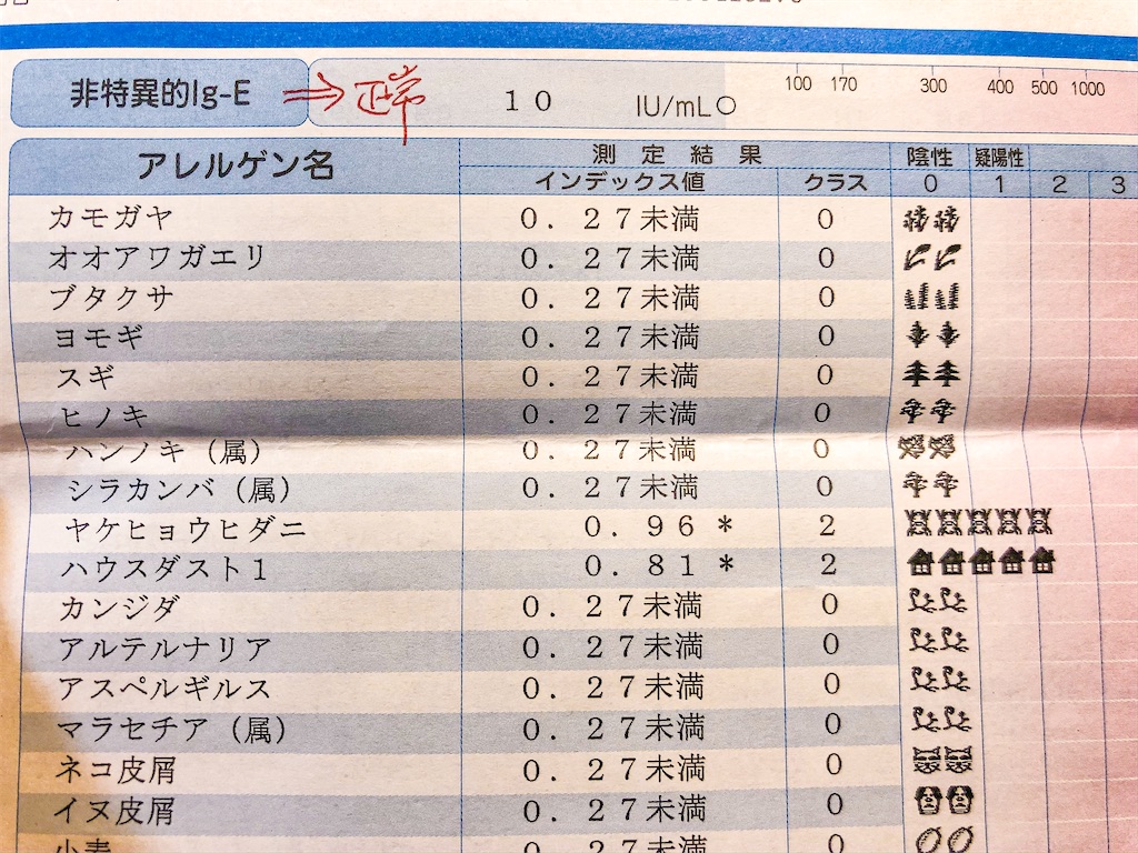 f:id:chocho88:20191219222213j:image f:id:chocho88:20191219222213j:image
