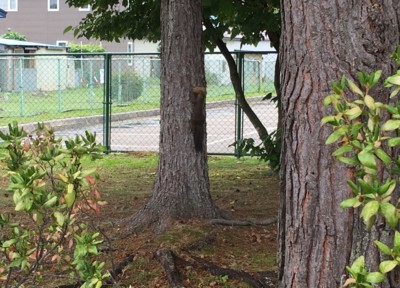 f:id:chochopolix:20170823085640j:plain f:id:chochopolix:20170823085640j:plain