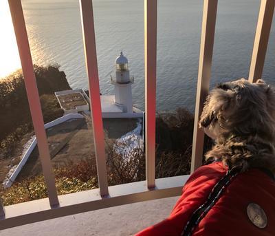 f:id:chochopolix:20190116221532j:plain f:id:chochopolix:20190116221532j:plain