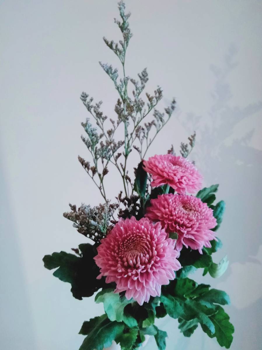 f:id:choco-885:20210317135047j:plain