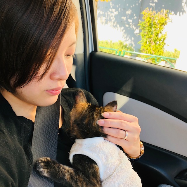 f:id:choco116choco:20191121141812j:plain