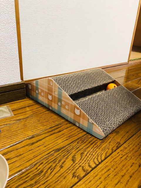 f:id:choco116choco:20191211154904j:plain f:id:choco116choco:20191211154904j:plain