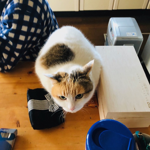 f:id:choco116choco:20200103080147j:plain