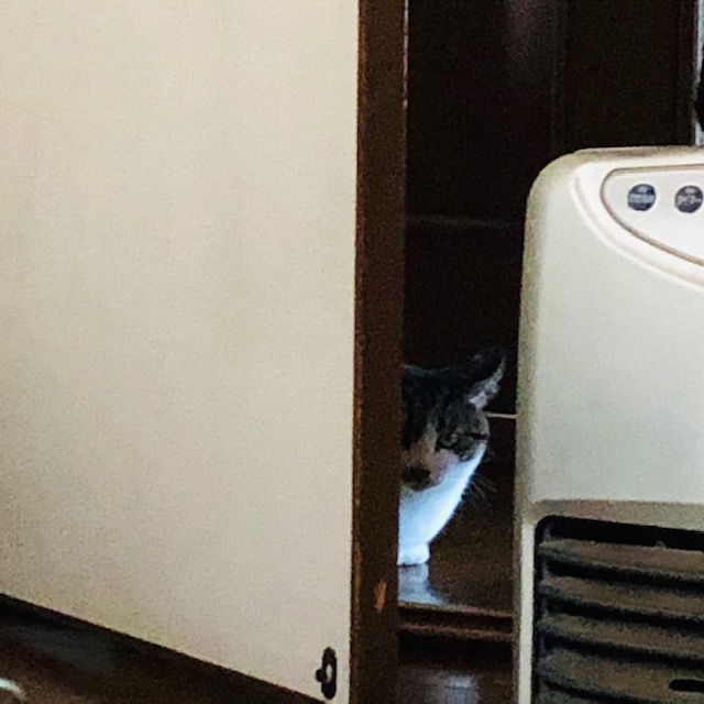 f:id:choco116choco:20200103155005j:plain