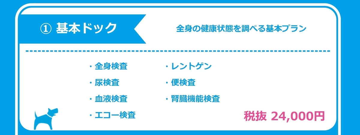 f:id:choco116choco:20200123155116j:plain