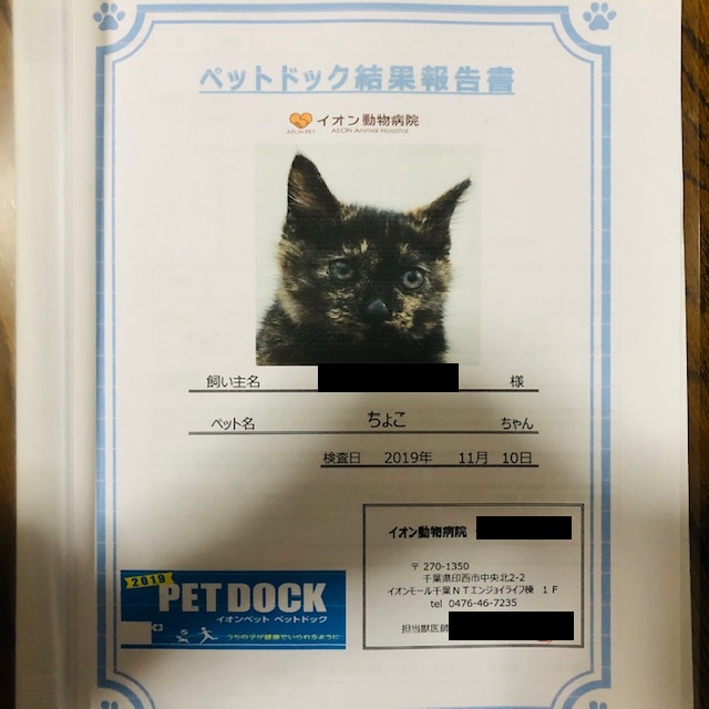 f:id:choco116choco:20200123155804j:plain