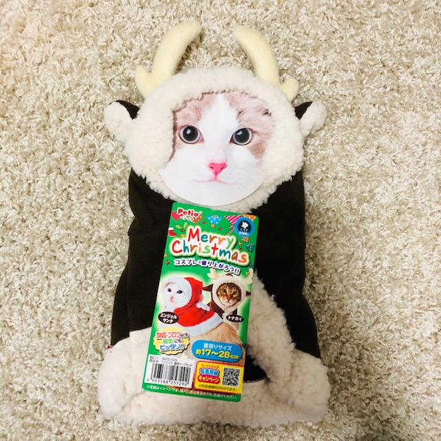 f:id:choco116choco:20200127143057j:plain f:id:choco116choco:20200127143057j:plain