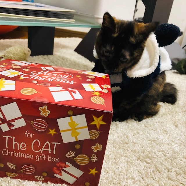 f:id:choco116choco:20200127144531j:plain f:id:choco116choco:20200127144531j:plain