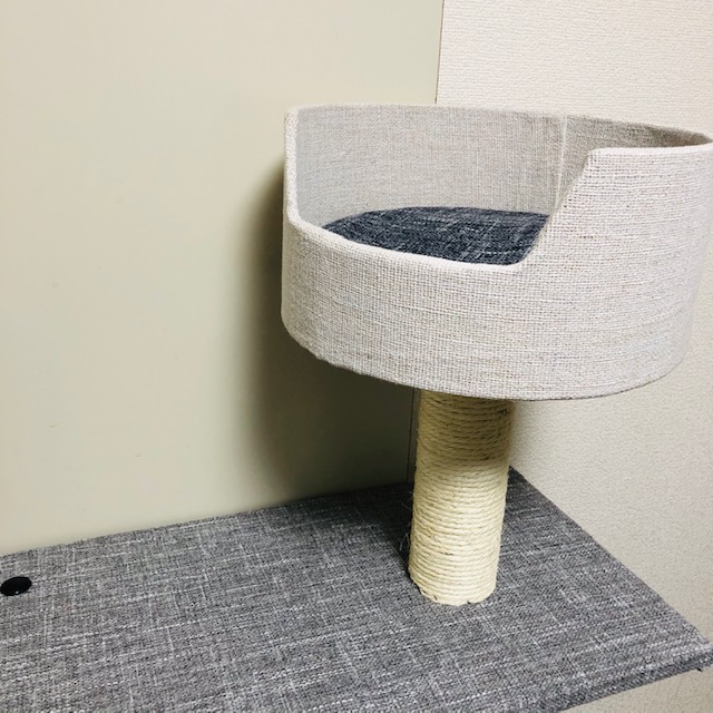 f:id:choco116choco:20200218091454j:plain