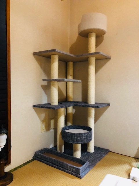 おすすめ】カインズのキャットタワーがお洒落！！ - 【子猫】ちょこの