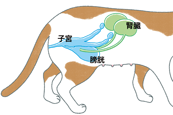 f:id:choco116choco:20200303104812p:plain