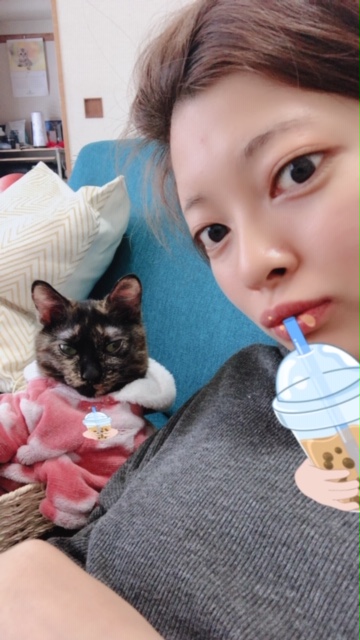 f:id:choco116choco:20200312143632j:plain