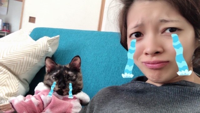 f:id:choco116choco:20200312143901j:plain