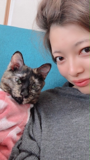 f:id:choco116choco:20200312144123j:plain