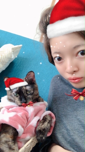 f:id:choco116choco:20200312144727j:plain