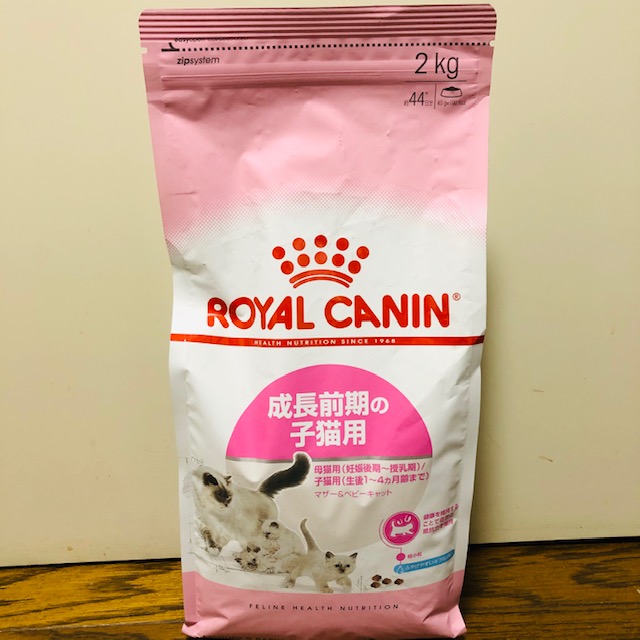 f:id:choco116choco:20200324093743j:plain f:id:choco116choco:20200324093743j:plain