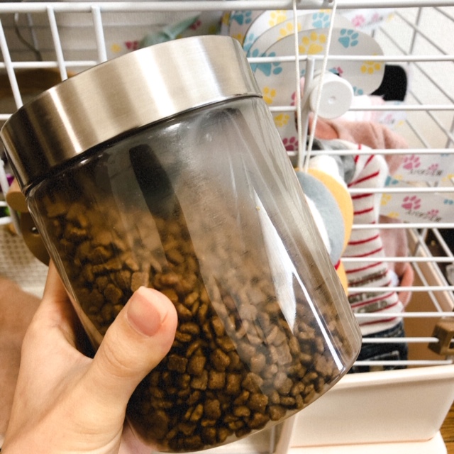 f:id:choco116choco:20200324100521j:plain f:id:choco116choco:20200324100521j:plain