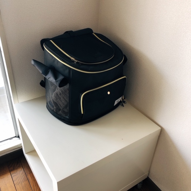 f:id:choco116choco:20200417105552j:plain f:id:choco116choco:20200417105552j:plain