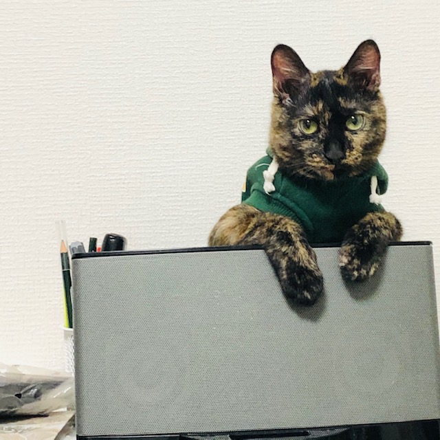 f:id:choco116choco:20200420100130j:plain