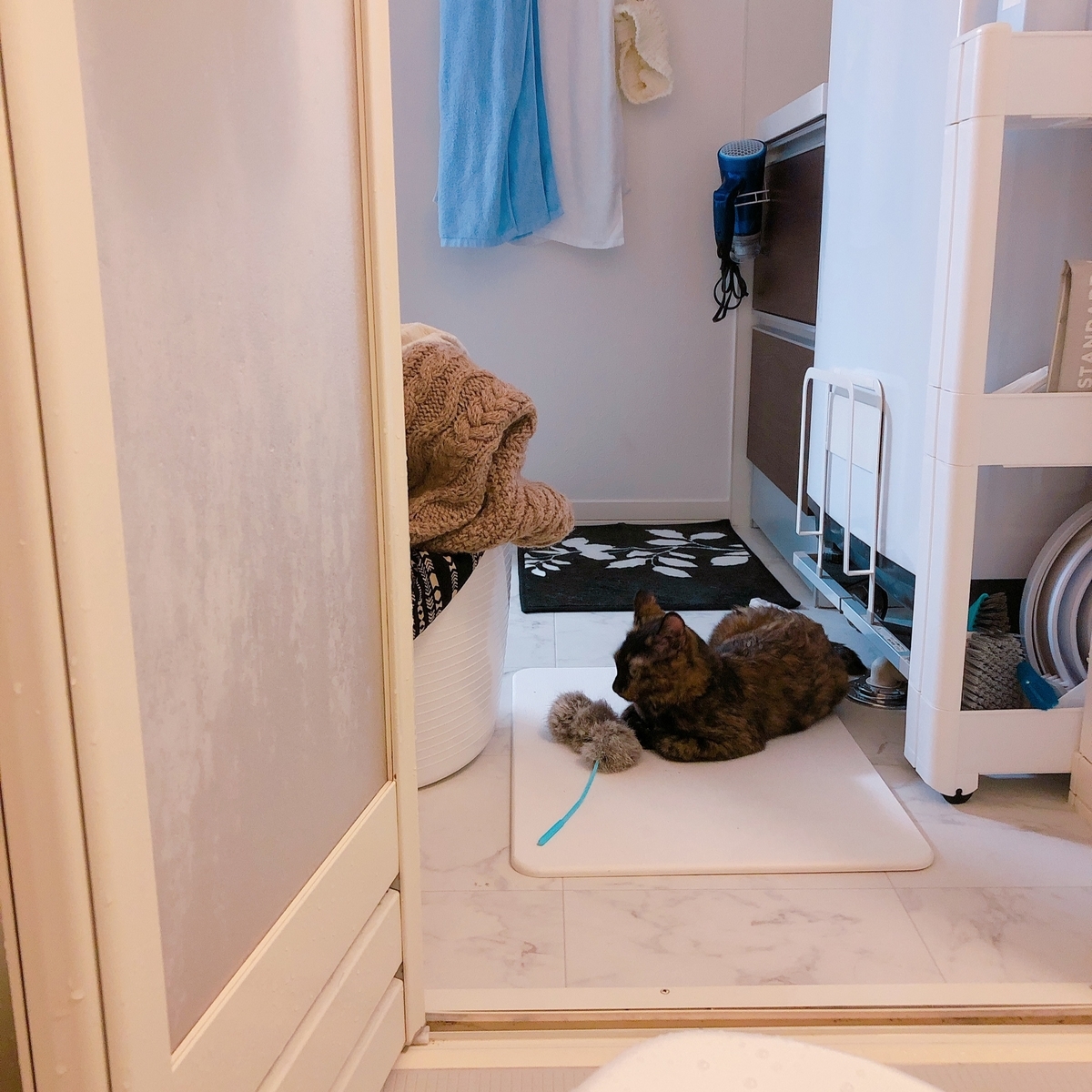 f:id:choco116choco:20200504092353j:plain