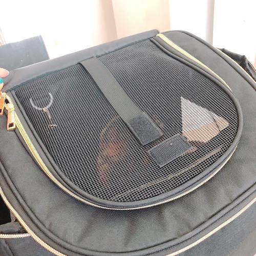 f:id:choco116choco:20200513093518j:plain