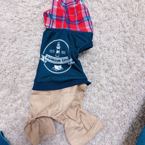 f:id:choco116choco:20200516103538j:plain f:id:choco116choco:20200516103538j:plain