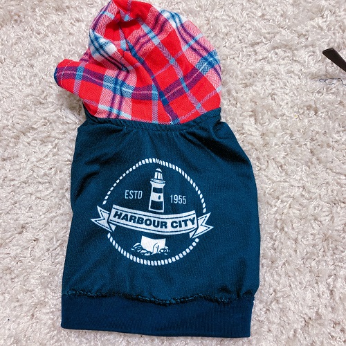 f:id:choco116choco:20200516103841j:plain f:id:choco116choco:20200516103841j:plain