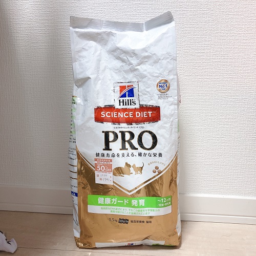 f:id:choco116choco:20200522100006j:plain