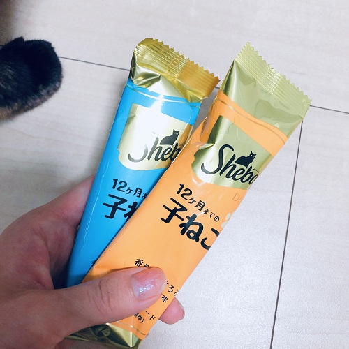 f:id:choco116choco:20200522100916j:plain