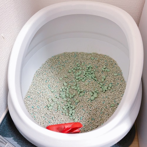 f:id:choco116choco:20200701082339j:plain