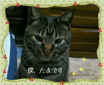 f:id:choco116choco:20200715080923j:plain f:id:choco116choco:20200715080923j:plain