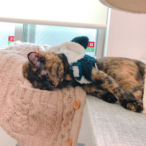 f:id:choco116choco:20200717093532j:plain f:id:choco116choco:20200717093532j:plain