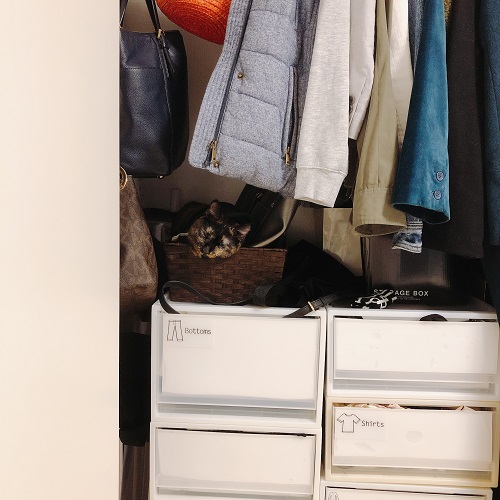 f:id:choco116choco:20200719173905j:plain