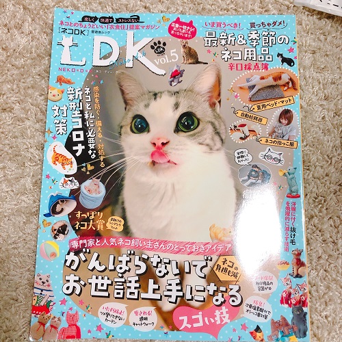 f:id:choco116choco:20200803075432j:plain