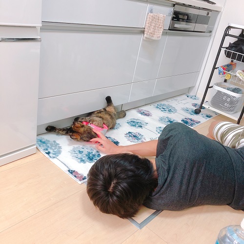 f:id:choco116choco:20200803082105j:plain