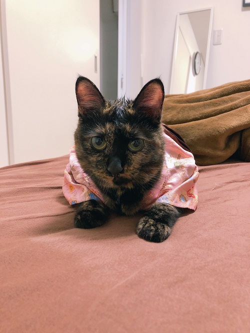 f:id:choco116choco:20200810092705j:plain f:id:choco116choco:20200810092705j:plain